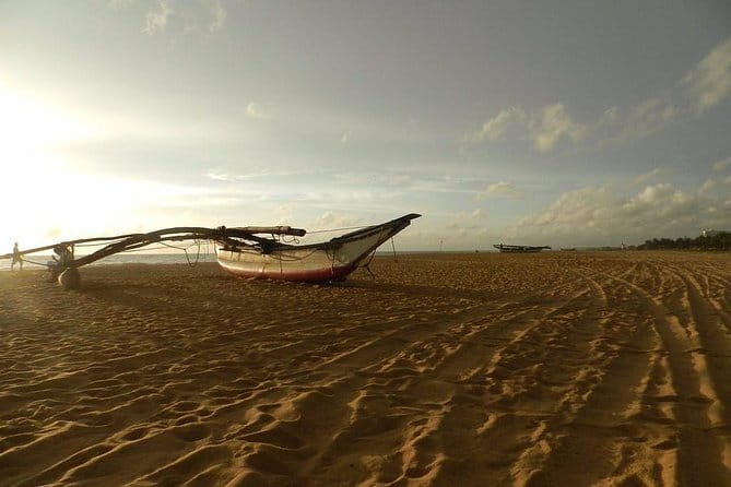 Half Day Tour to Muthurajawela, Lagoon, Dutch Canal and Mangroves - The guide makes the difference