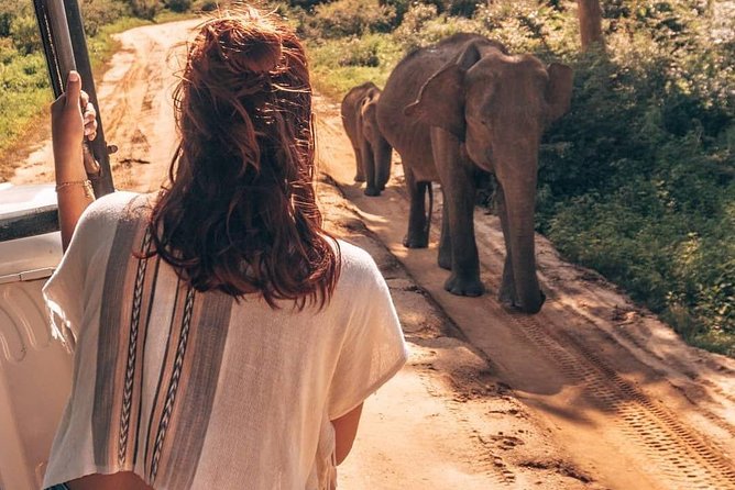 Half Day Udawalawe Safari from Kalutara (Entrance + Lunch) - Key points to know before booking