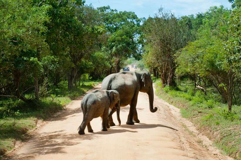 Hambantota Shore Excursion: Village and Cultural tour - Booking, cancellation, and port-day planning