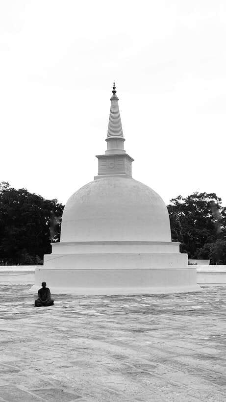Hambantota Shore Excursion: Village and Cultural tour - Safari options and what they really mean