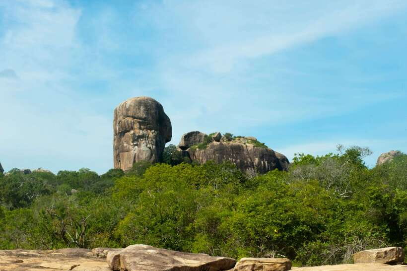 Hambantota Shore Excursion: Village and Cultural tour - Temple etiquette, bare feet, and a slower stop