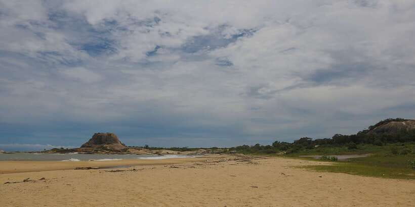 Hambantota: Yala National Park Wildlife Safari in a 4x4 - The animals you are most likely to remember