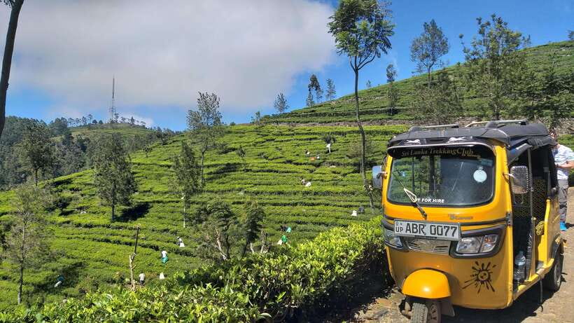 Haputale:Glorious Tuk Tuk Ride to Lipton'sSeat & Tea Factory - What the $35 Price Covers