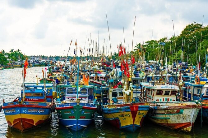 Heritage & Cultural Walk in Negombo - Coconut, birds, and the Negombo lagoon