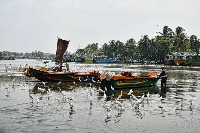 Heritage & Cultural Walk in Negombo - Timing, meeting point, and comfort