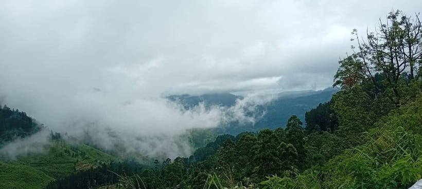 High-Grown Tea & Waterfall Wonders of Nuwara Eliya by tuktuk - Blue Field Tea Factory and the plucking experience