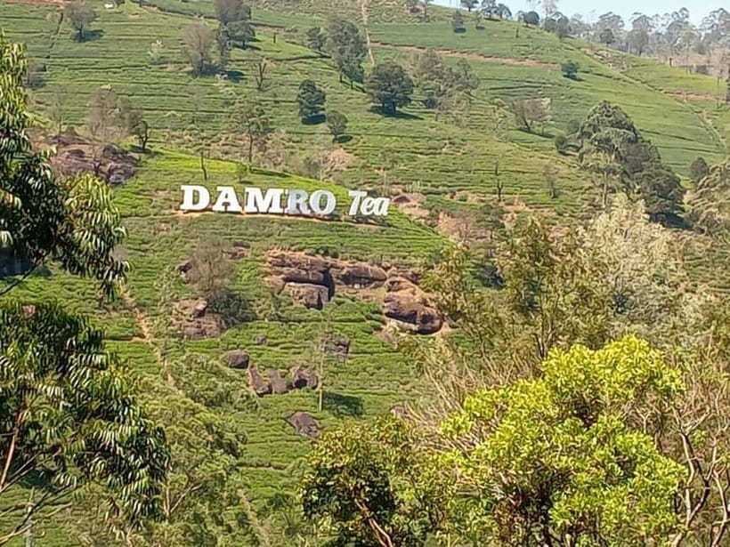 High-Grown Tea & Waterfall Wonders of Nuwara Eliya by tuktuk - Ramboda Falls: the day’s outdoor centerpiece
