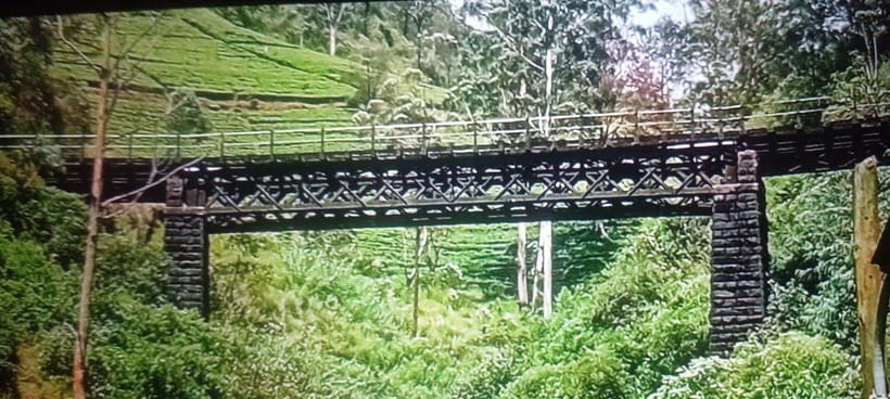 High-Grown Tea & Waterfall Wonders of Nuwara Eliya by tuktuk - The $30 price and what you receive