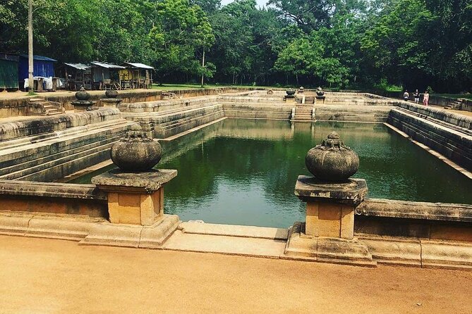 Highlights of Sri Lanka 8 Days Private Tour - Day 6: Ravana Falls and elephant rehabilitation