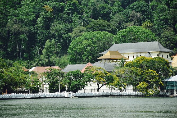 Highlights of Sri Lanka 8 Days Private Tour - Day 7: Whales, stilt fishing, turtles, and Galle