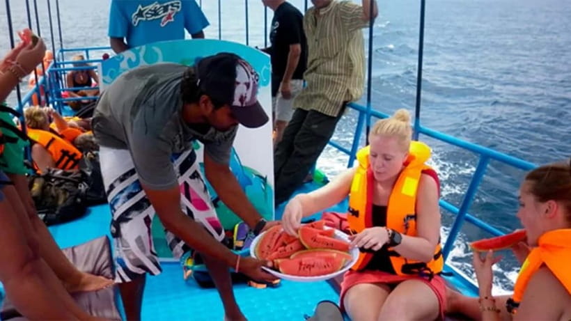 Hikkaduwa/Galle/Ahangama: Whale Watching Tour in Mirissa - Four hours scanning the Indian Ocean