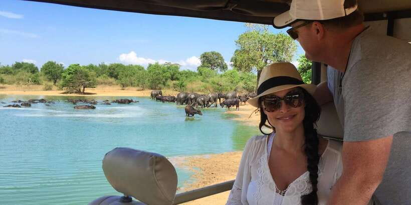 Hikkaduwa/Galle/Unawatuna/Mirissa: Udawalawa Safari - Three hours inside the safari Jeep