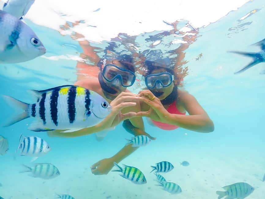 Hikkaduwa Snorkeling Tour: 2 Hours of Underwater Adventure - Key points to know before booking