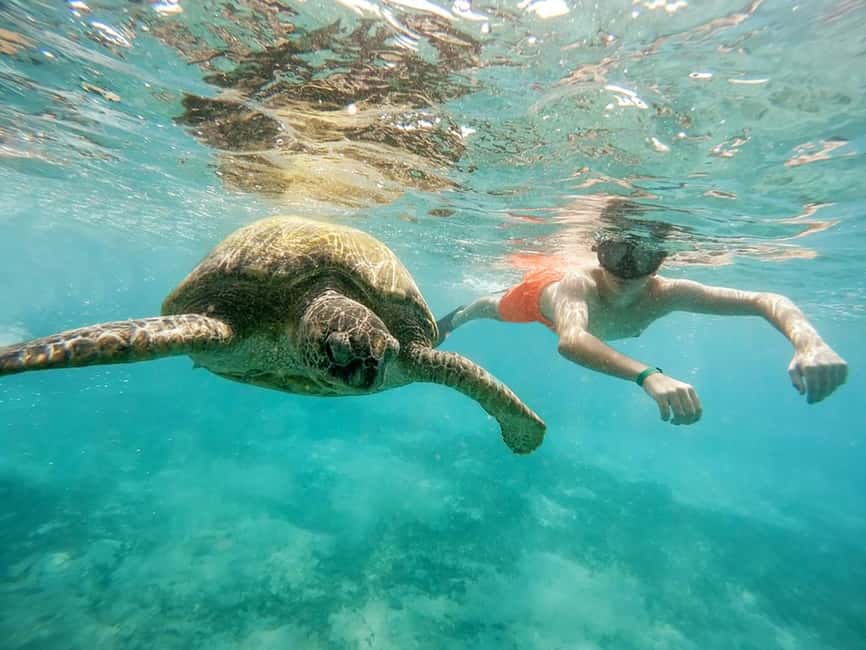 Hikkaduwa Snorkeling Tour: 2 Hours of Underwater Adventure - Equipment, comfort, and what to pack