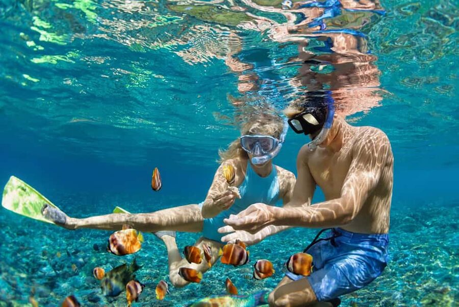 Hikkaduwa Snorkeling Tour: 2 Hours of Underwater Adventure - Who should book this snorkeling tour