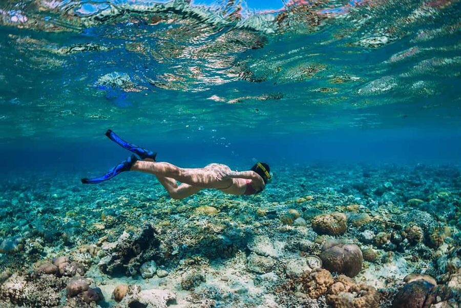 Hikkaduwa Snorkeling Tour: 2 Hours of Underwater Adventure - My verdict on this Hikkaduwa reef experience