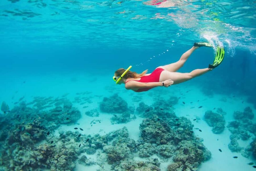 Hikkaduwa Snorkeling Tour: 2 Hours of Underwater Adventure - FAQ