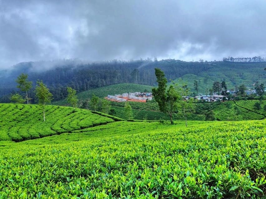 Horton plains: Discover real essence of central highland - FAQ