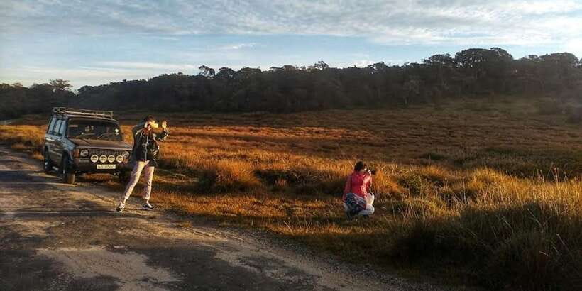 Horton plains: Discover real essence of central highland - Tea country after the mountain walk