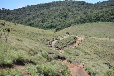 Horton Plains National Park Entrance Ticket with Guide