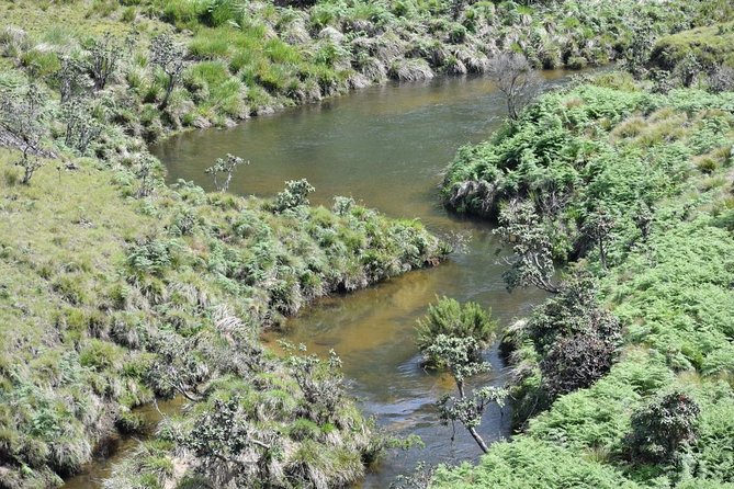 Horton Plains National Park Entrance Ticket with Guide - World’s End is the headline sight