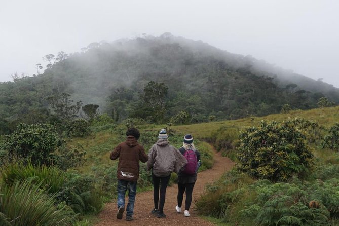 Horton Plains National park in Nuwara eliya - Reaching Horton Plains by private vehicle