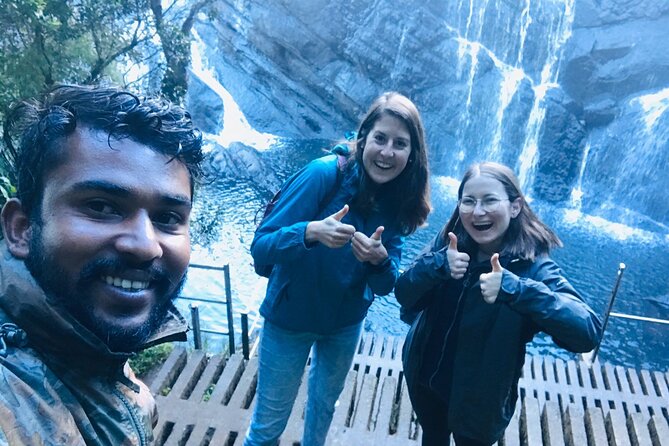 Horton Plains-World's End Tour and Tea Factory Tour From Nuwaraeliya - Who will enjoy this experience most