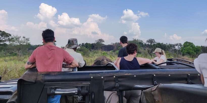 Hurulu Eco Park: 3-Hour Morning or Evening Safari - The elephants are the main event