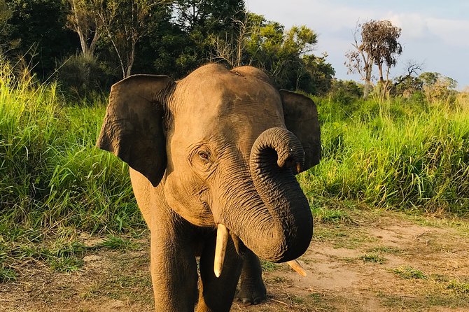 Hurulu Eco Park Half Day Safari - Key points to know before booking