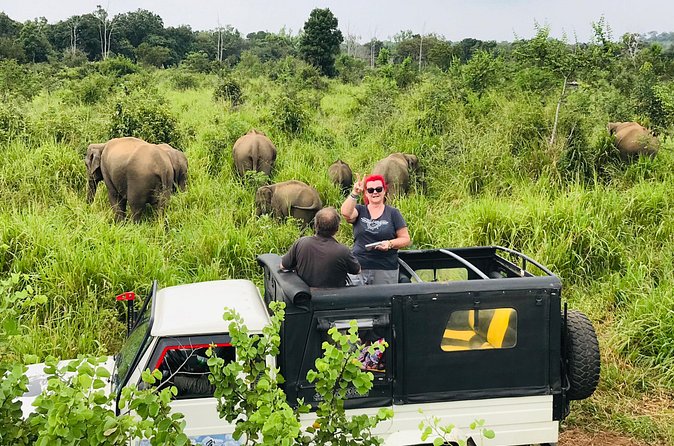 Hurulu Eco Park Half Day Safari - Why Minneriya is worth four hours