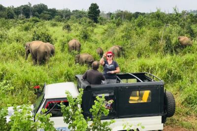 Hurulu Eco Park Half Day Safari