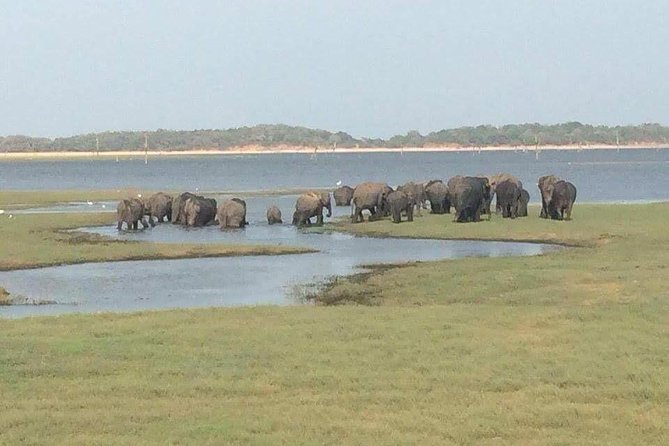 Hurulu eco park jeep safari - Key points before you book