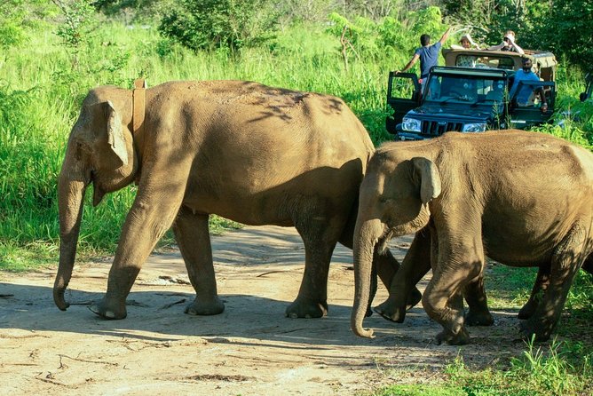 Hurulu Eco Park Private Safari - Who will enjoy this safari most?