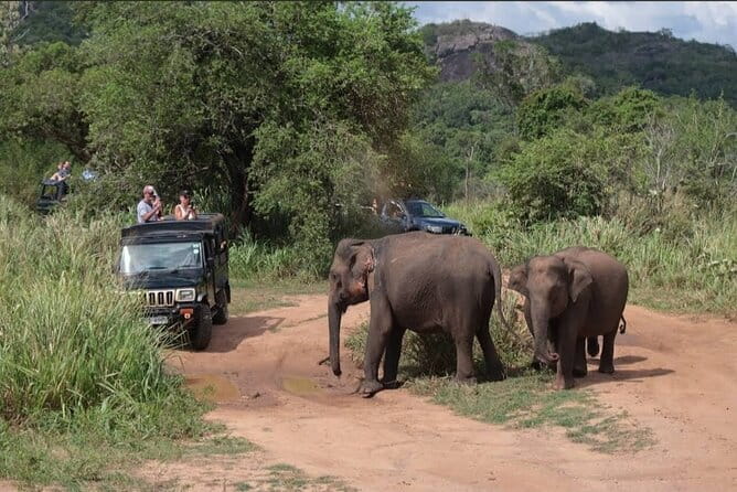Hurulu Eco Park Safari Adventure - Key points to know before you book
