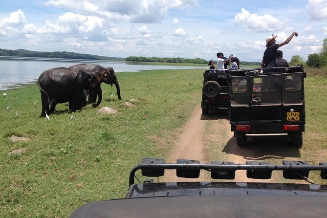 Hurulu Eco Park Safari Adventure - Getting there from Habarana and Anuradhapura