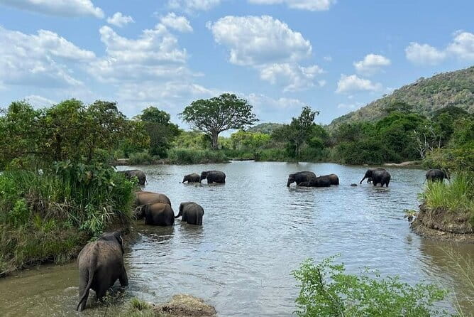 Hurulu Eco Park Safari Adventure - When to go, and what to pack