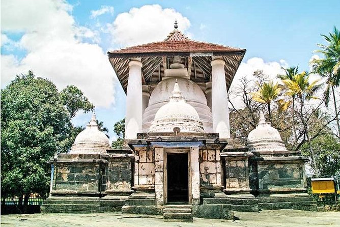 I Day Kandy Heritage Culture Tour - Udawattekele Sanctuary brings forest walking into the program