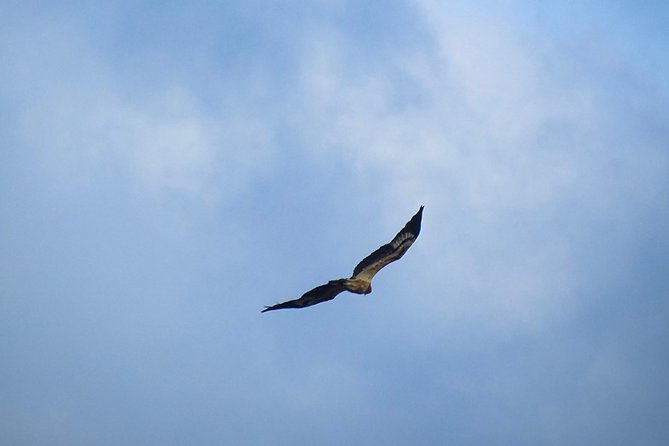 Jeep Safari at Kumana National Park - Birds at Kumana Villu and beyond