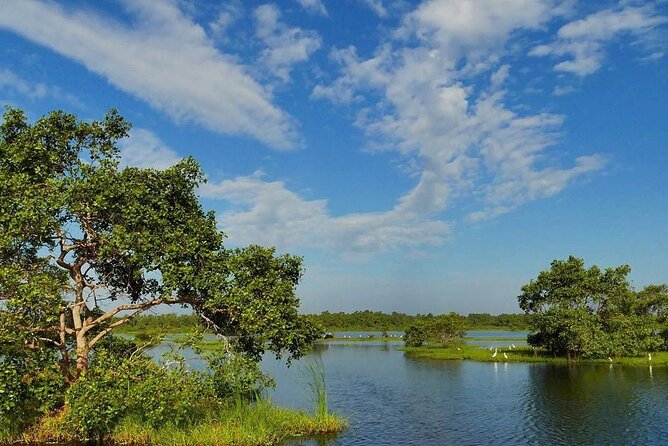 Kalametiya Bird Sanctuary Catamaran Bird Watching Tour - Arriving at the Lagoon