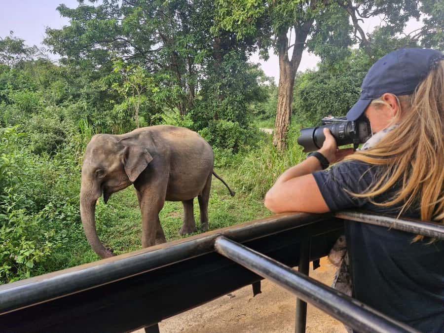 Kandy: 4-Day Sri Lanka Full Circle Private Tour To Colombo - What four days on Sri Lanka’s full circle really means