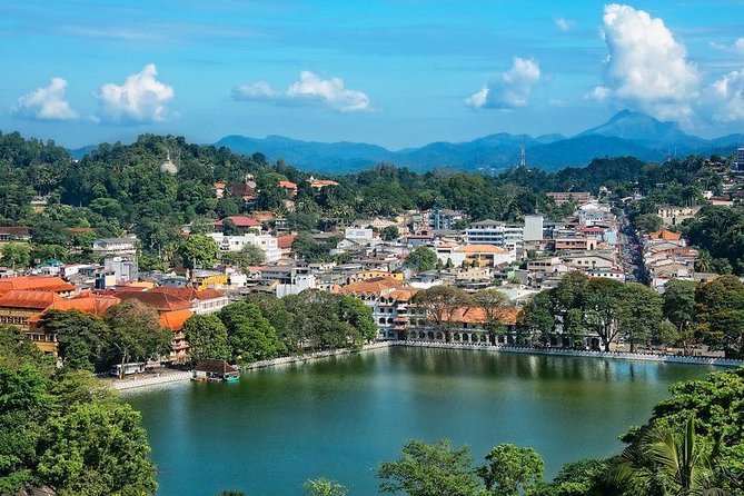Kandy and Pinnawala Private Day Tour from Colombo/Negombo - The private format and the driver