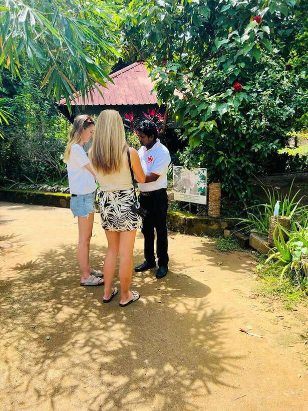 Kandy City Day Tour from Colombo, Negombo or Katunayake - Kandy View Point and the lake