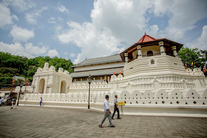 Kandy City Day Tour with a verified tour guide - What the $23 price really covers