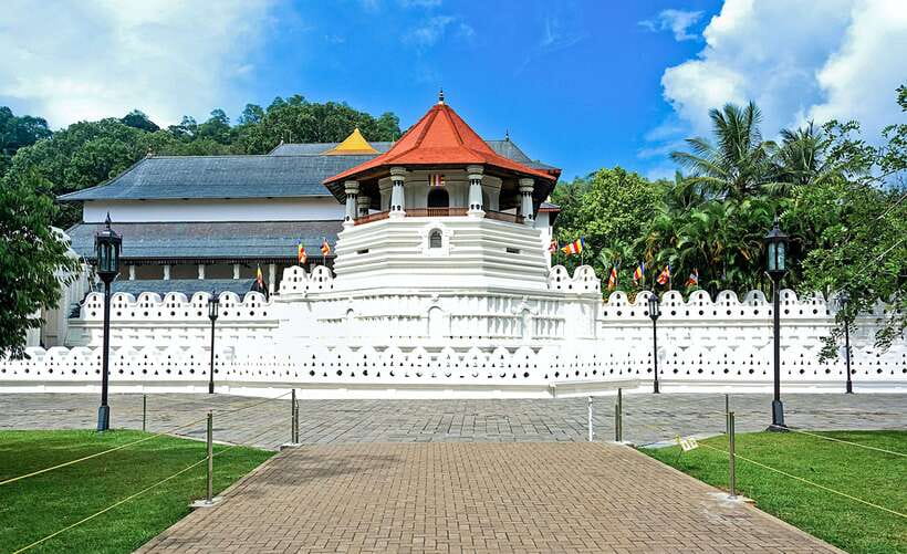 Kandy City Explore Full Day Tour , Like a Local - Royal Botanical Garden in Peradeniya
