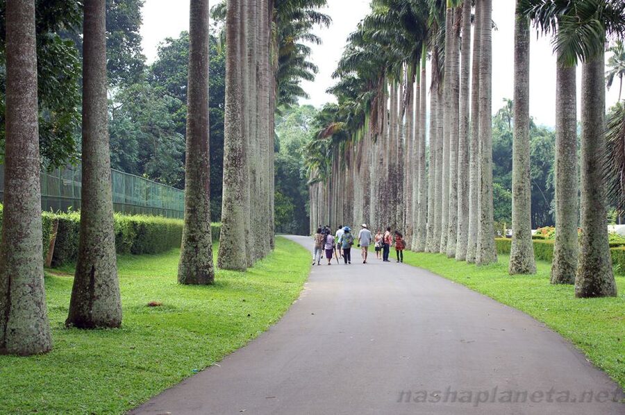 Kandy City Explore Full Day Tour , Like a Local - The Temple of the Sacred Tooth Relic