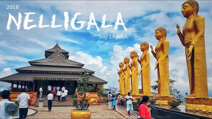 Kandy City Explore Tour Morning/Evenening Private Tour - Royal Botanical Gardens in Peradeniya
