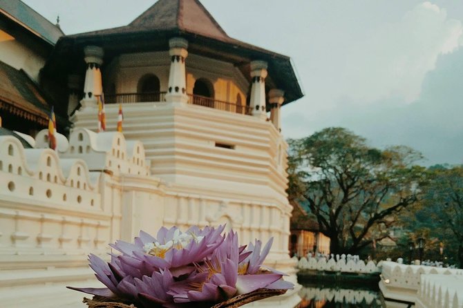 Kandy City guide Tour and day trip private luxury car and van - Leaving the city for Ceylon tea