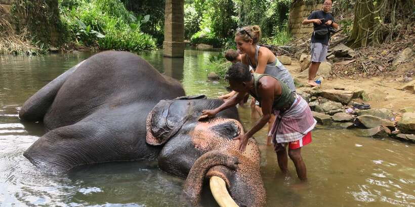 Kandy: City Highlights and Ramboda Waterfall Trip - Key points to know before you book