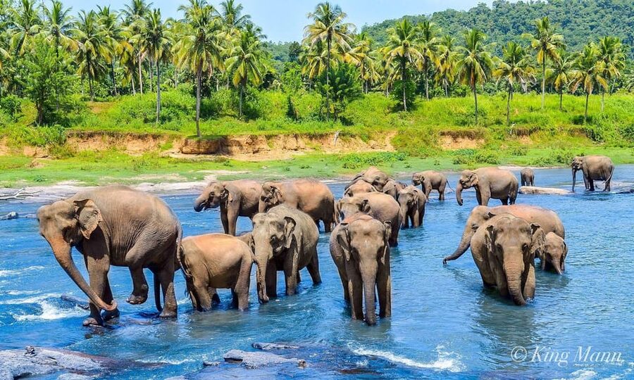 Kandy: City Highlights and Ramboda Waterfall Trip - Kandyan culture and the Temple of the Tooth