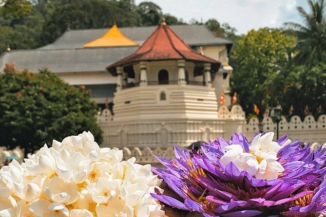 Kandy City Sightseeing and Ambuluwawa Tower by Tuk Tuk Tour - Bahirawakanda and the Big Buddha